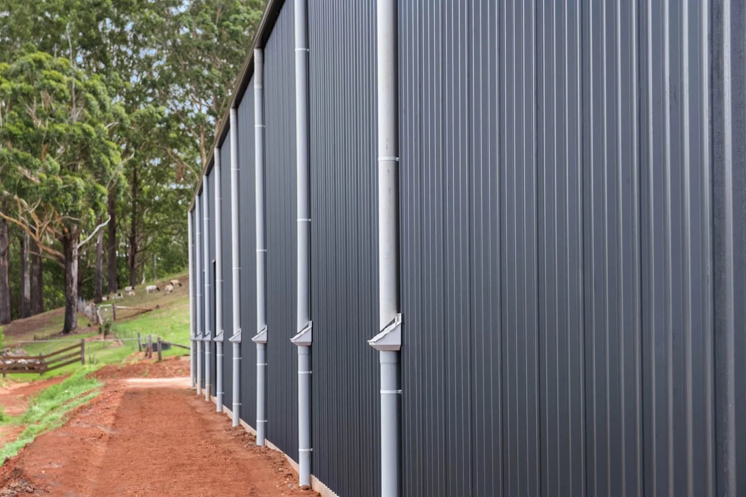 Built with Proven Materials — A Big Cabarlah Shed Built to Work