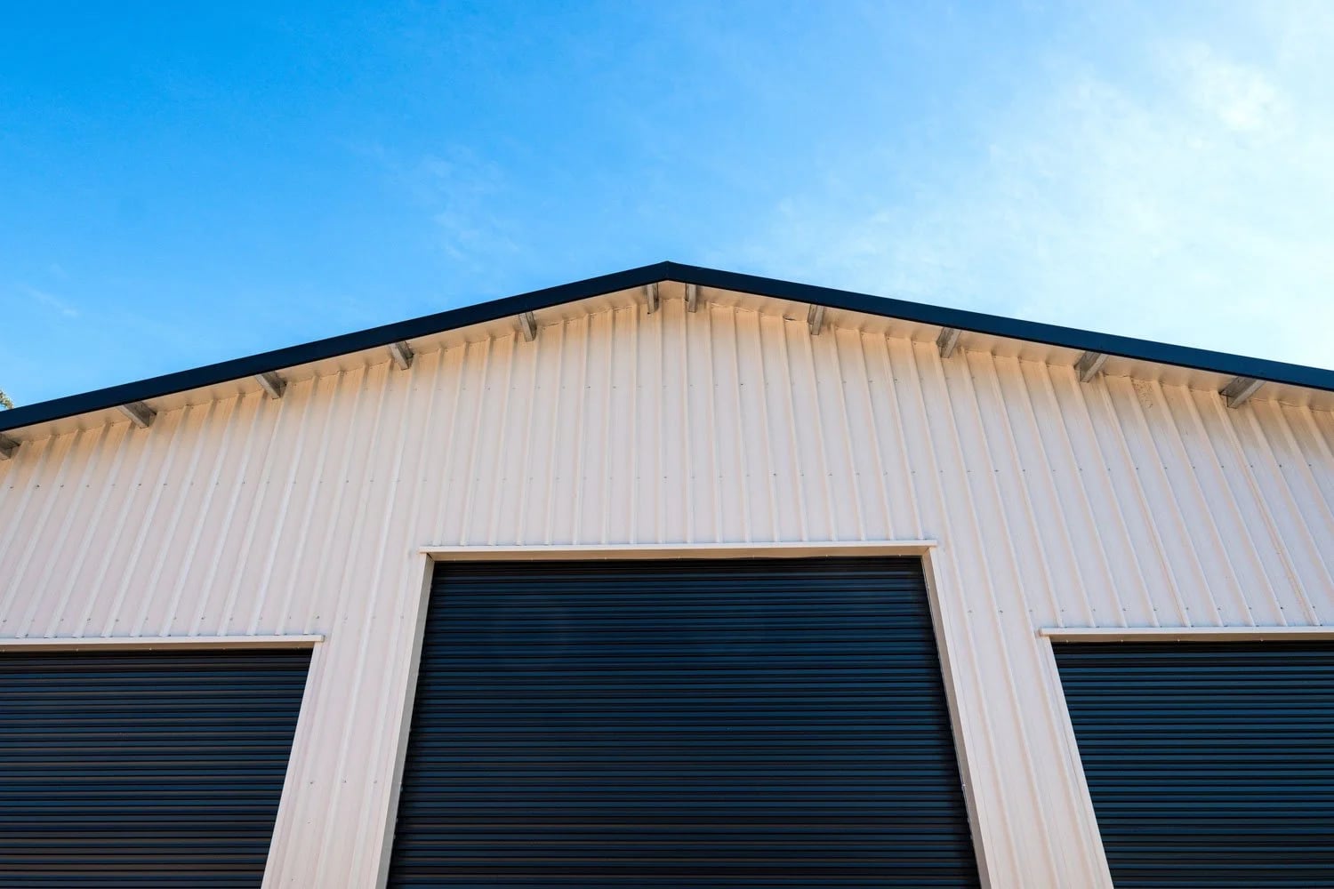 High Ceilings and Gable Roof — A Bold Rural Shed in Hampton