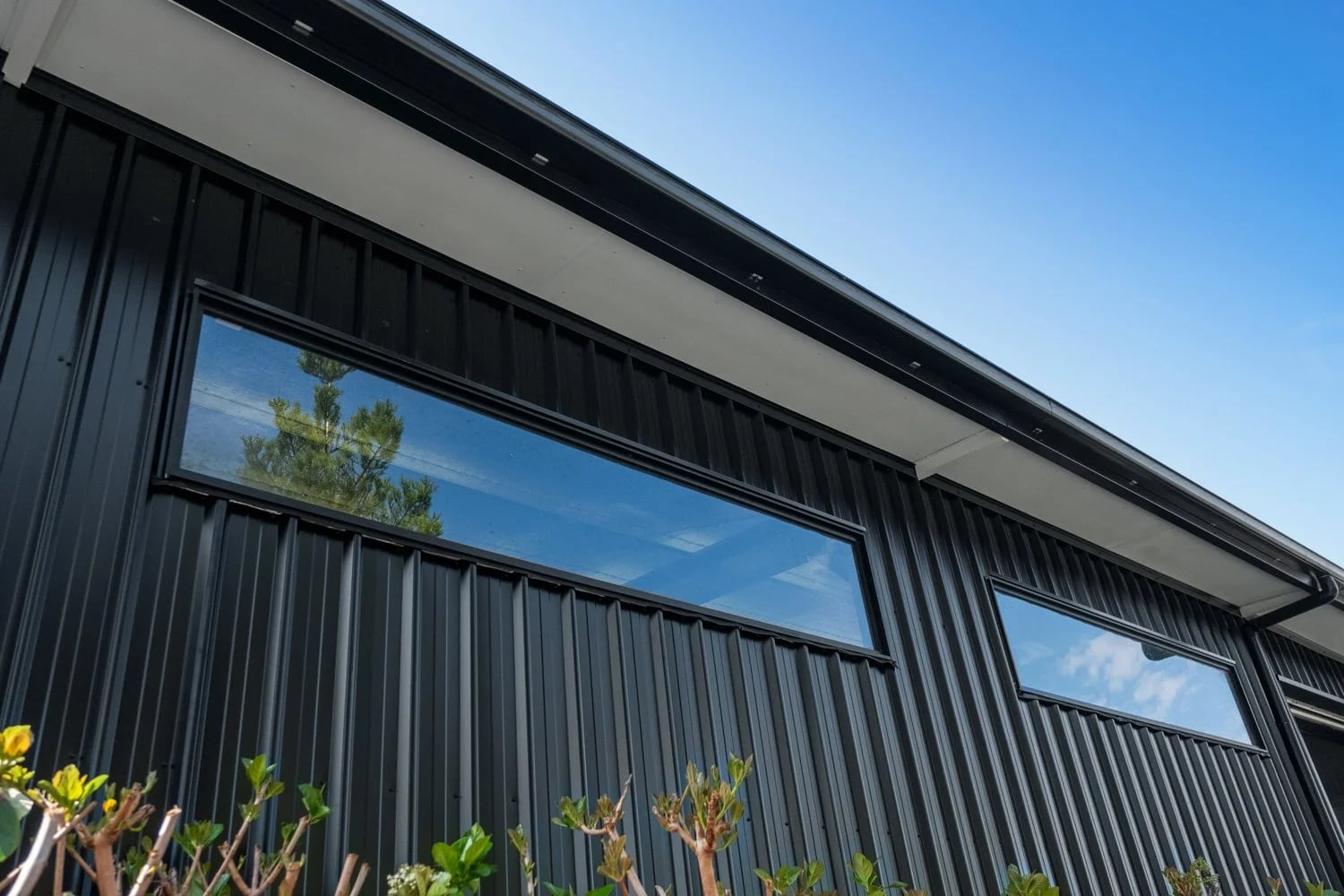 Windows for Natural Light — A Mighty Double Skillion Shed