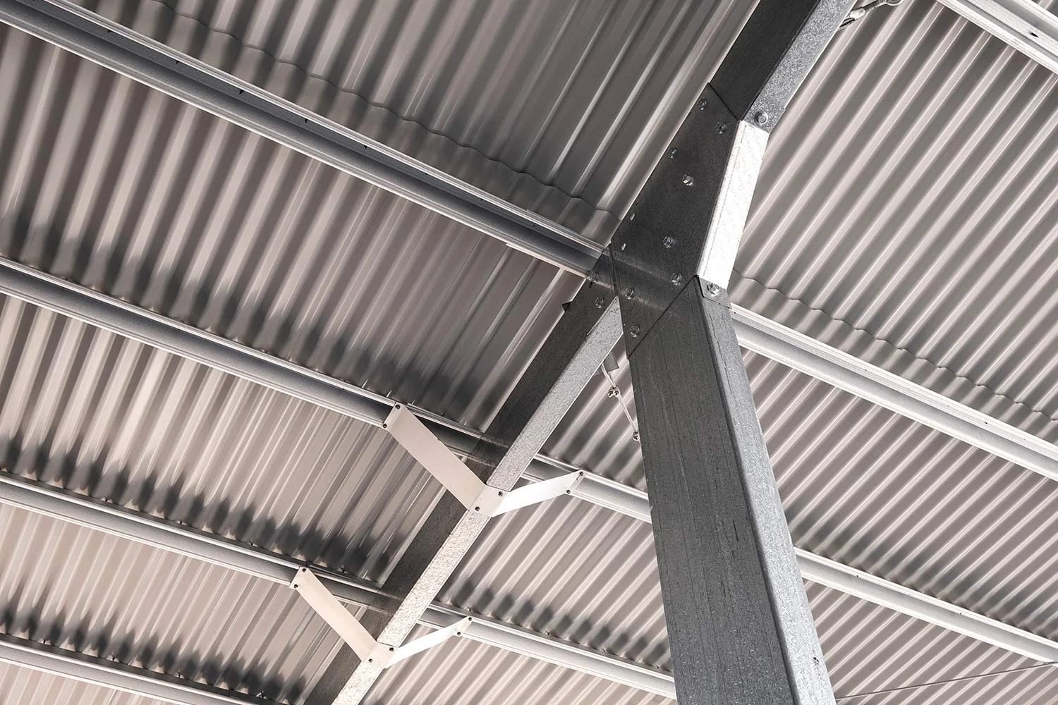 Bradnams Shed Windows — A Modern Toowoomba Shed