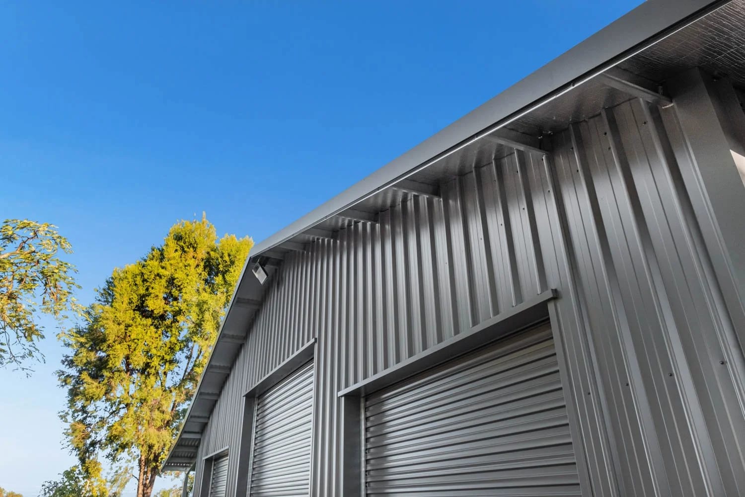 Gable Roof — Rosewood’s Best Backyard Shed?