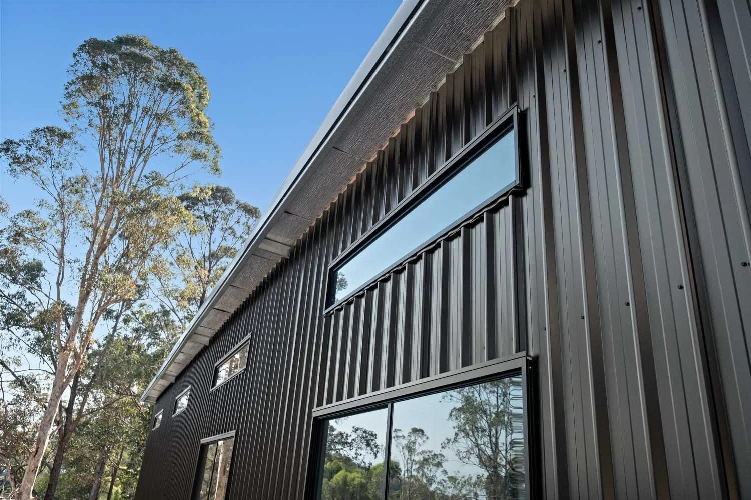 Multiple Windows — Spacious Skillion Shed