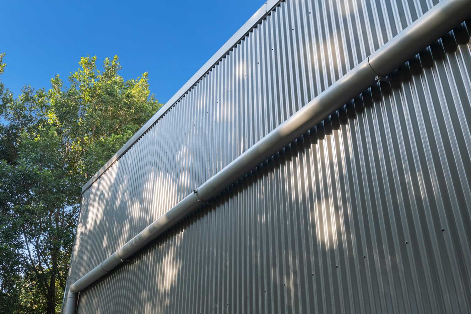shed with custom features