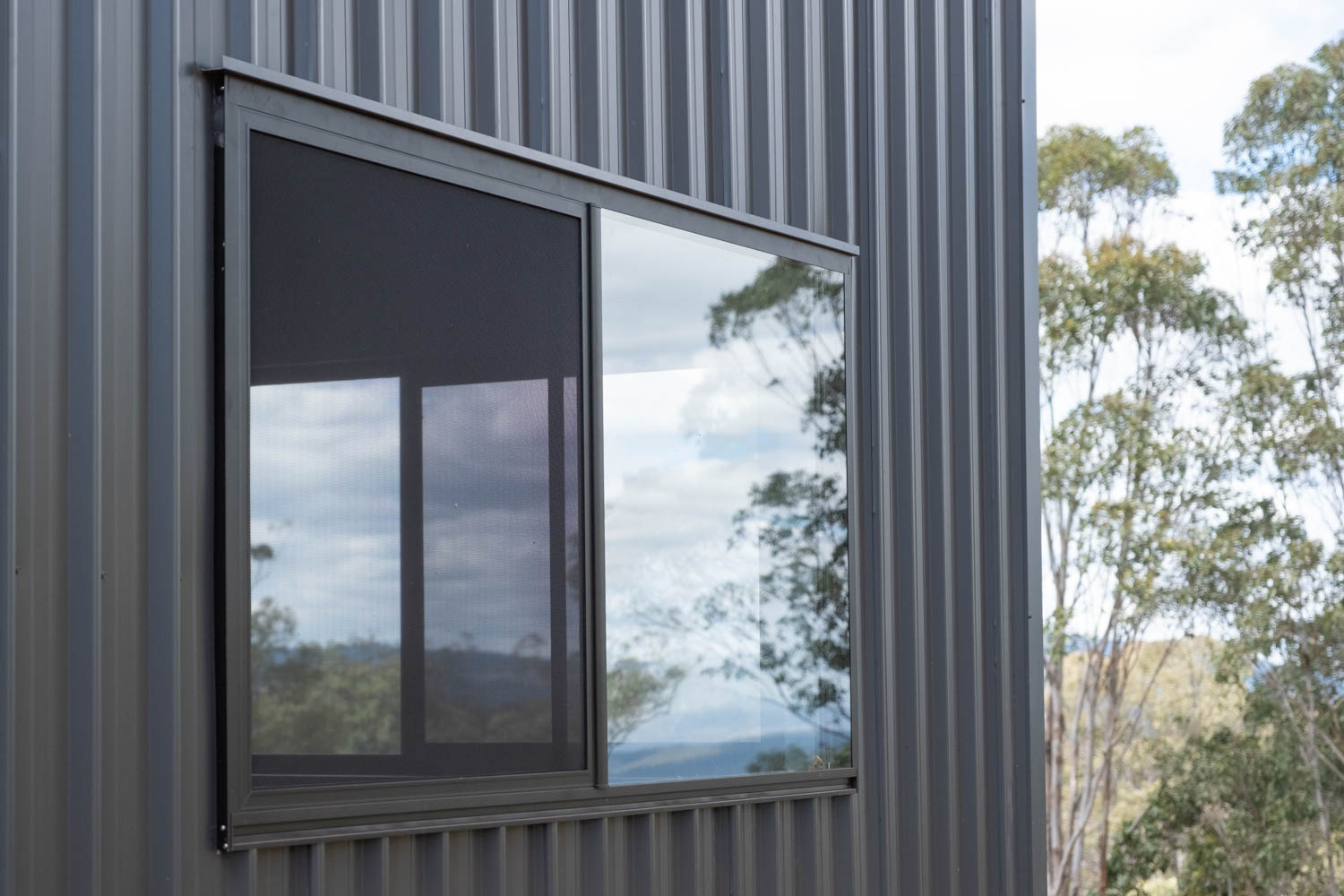 bradnams shed windows